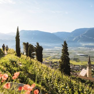 Tramin an der Weinstraße