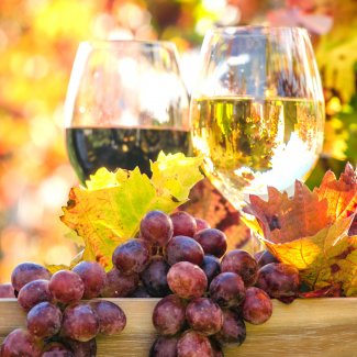 Weinprobe im Herbst