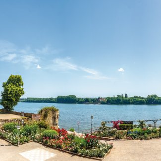 Burg Eltville am Rhein