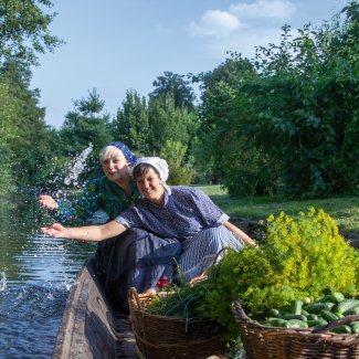 Gurkenernte im Spreewald
