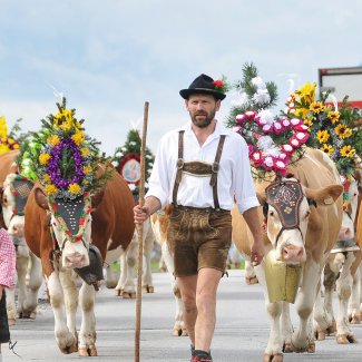 Almabtrieb Reith im Alpbachtal