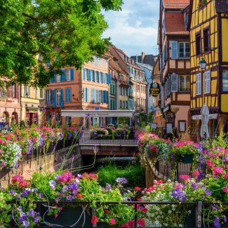 Blühende Altstadt von Colmar