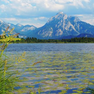 Hopfensee Allgäu