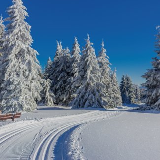Winterzauber im Thüringer Wald