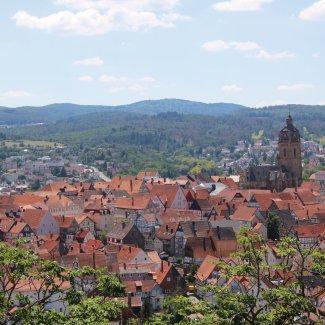Blick von Schloss Friedrichstein auf Bad Wildungen