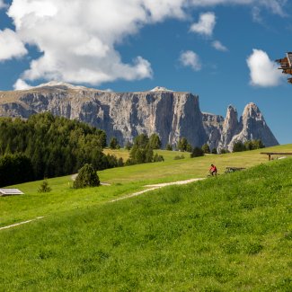Seiser Alm in Südtirol