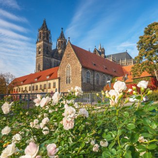 Magdeburger Dom