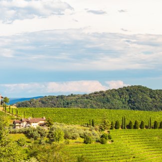 Weinbauregion Collio