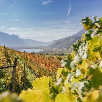 Herbstlandschaft am Kalterer See