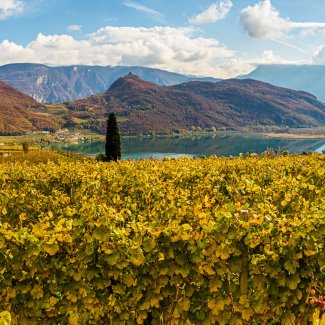 Herbstlandschaft am Kalterer See