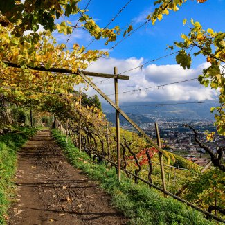 Herbst in Südtirol