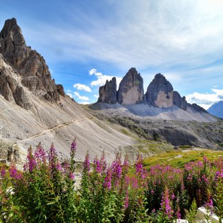 Sextener Dolomiten, Drei Zinnen