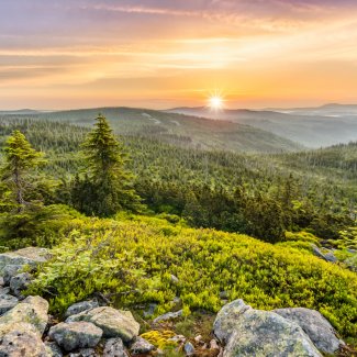 Bayerischer Wald