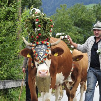 Almabtrieb in Reith im Alpbachtal