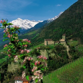 Frühlingsblick auf Schloss Tirol