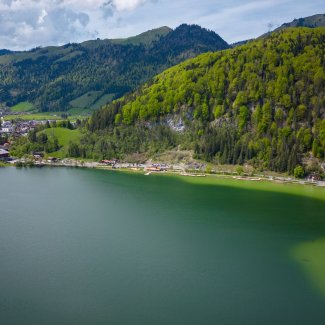 Walchsee