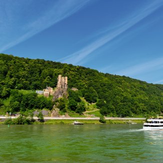 Burg Rheinstein