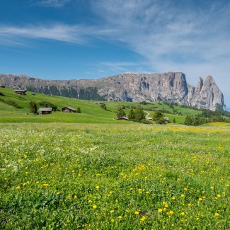 Seiser Alm, Schlern