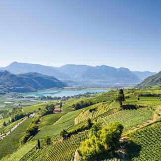 Weinberglandschaft rund um den Kalterer See im Süden Südtirols