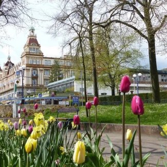 Bad Wildungen, Brunnenallee