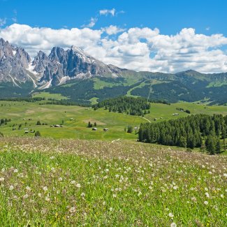 Seiser Alm