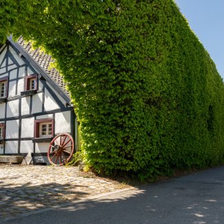 Heckendorf Höfen bei Monschau