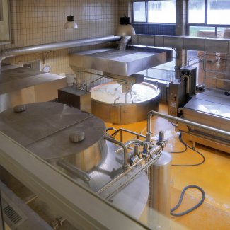 Zillertaler Heumilch Sennerei Fügen