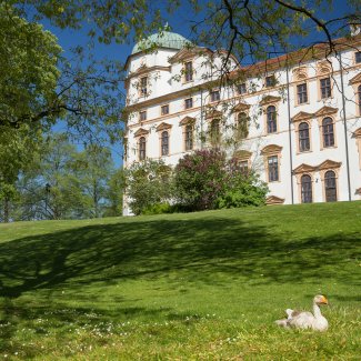 Celler Schloss