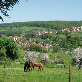 Blick auf Weibersbrunn