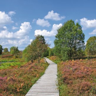 Naturpark Hohes Venn bei Monschau